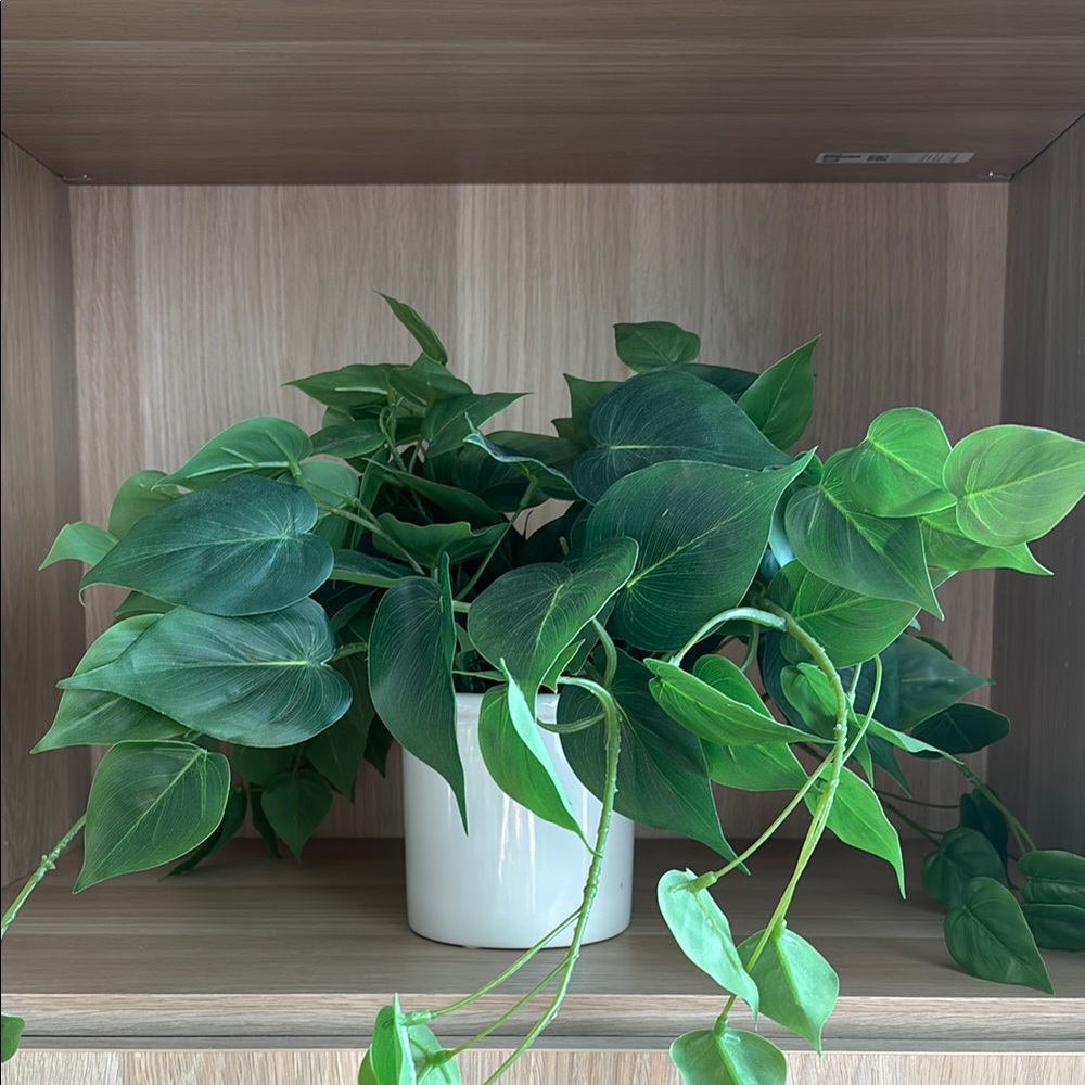 Elegant Greenery in White Planter